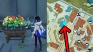 Clue #2 (Image via HoYoverse)